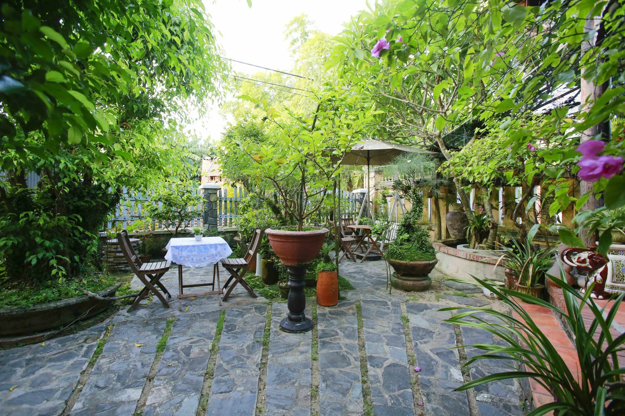 הוי אן Terra Cotta Homestay מראה חיצוני תמונה