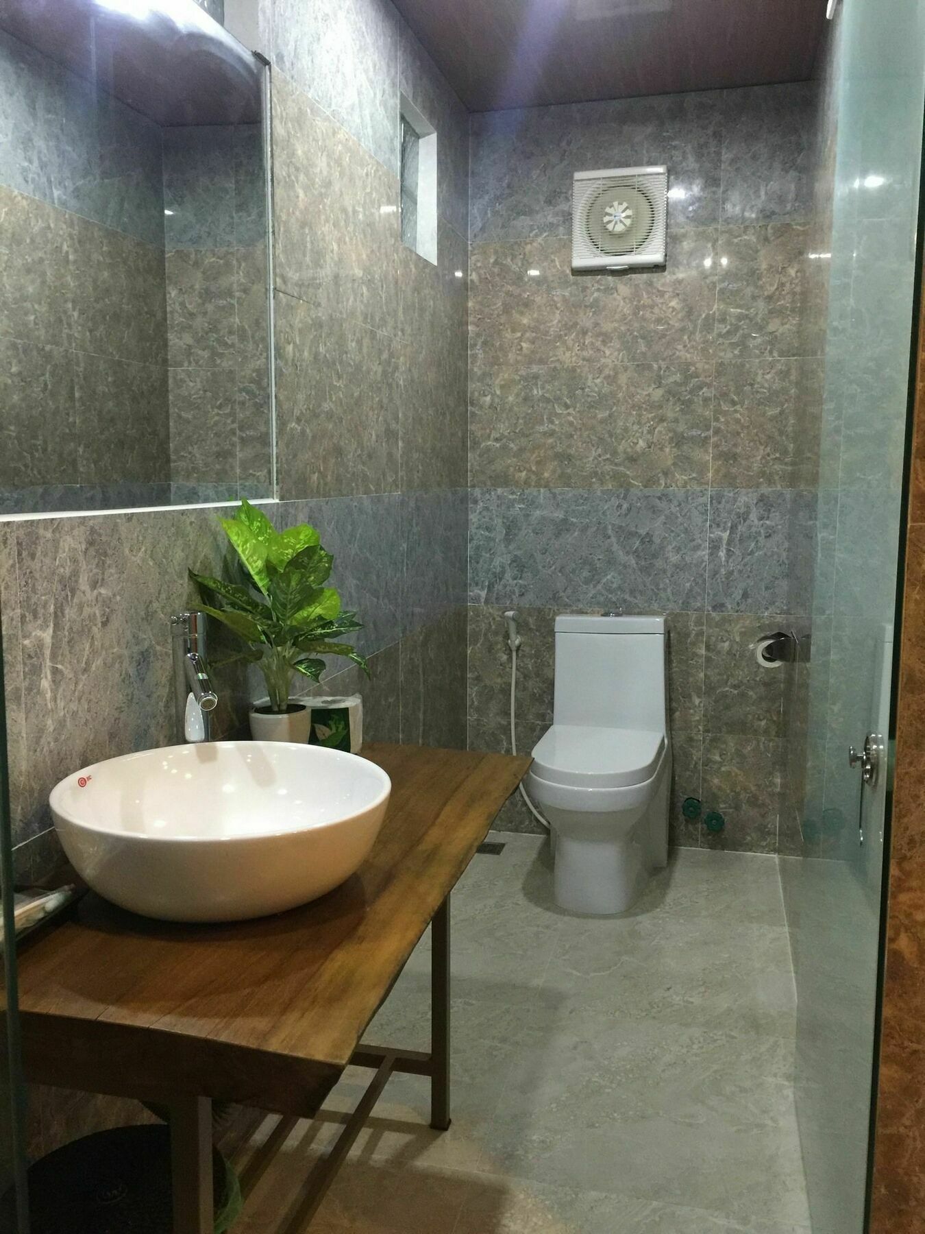 הוי אן Terra Cotta Homestay מראה חיצוני תמונה